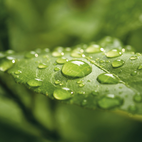 Rispetto, ambiente e sicurezza
